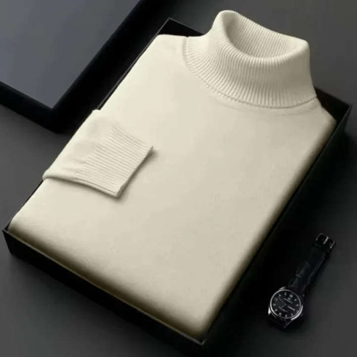 Pull à col roulé en cachemire Alioth